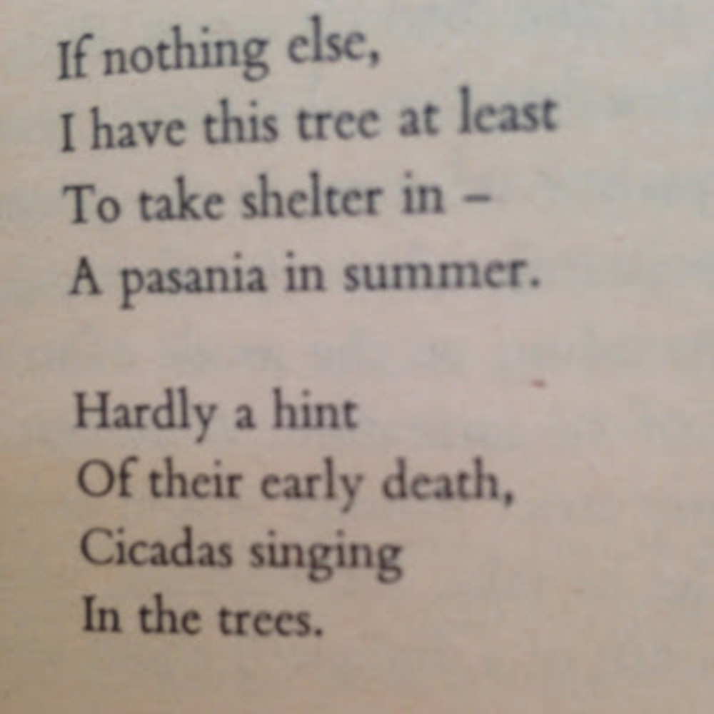 Meet your Posher, Molly